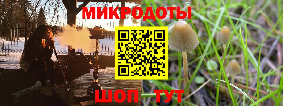 Галлюциногенные грибы Psilocybe  наркота  Кировск  Галлюциногенные грибы ЛСД  Вход с VPN 