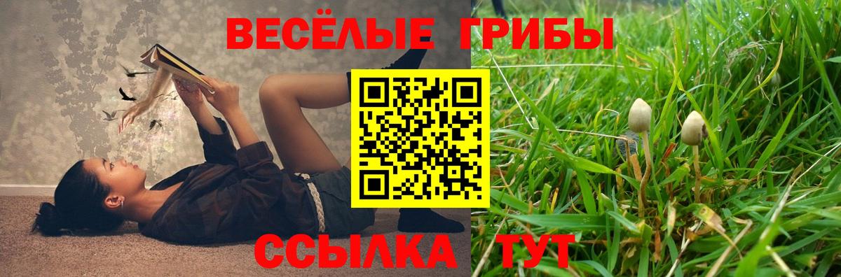 Псилоцибиновые грибы Cubensis Кировск
