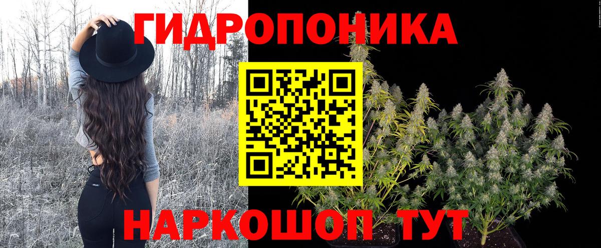 Бошки марихуана Amnesia  МАРИХУАНА ГИДРОПОН  Кировск  Вход с VPN 